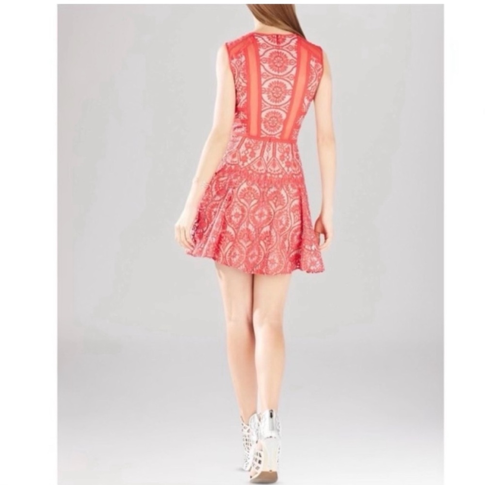 BCBG Max Azria Elegant Red Lace Dress - Picture 8 of 12